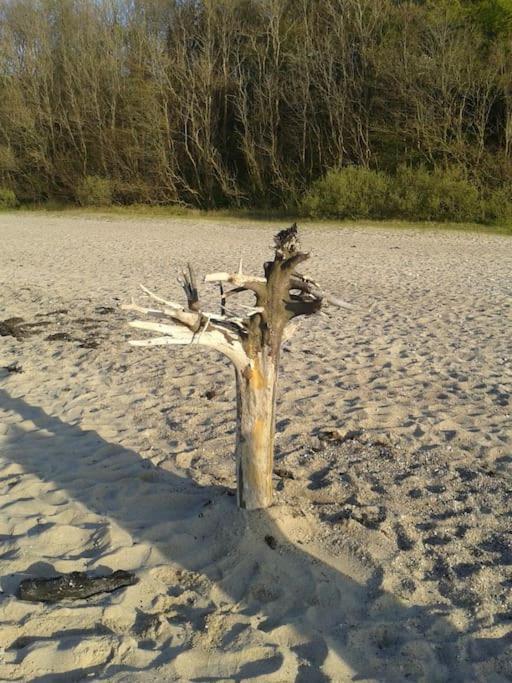 Strand & Garten Surendorf Zewnętrze zdjęcie