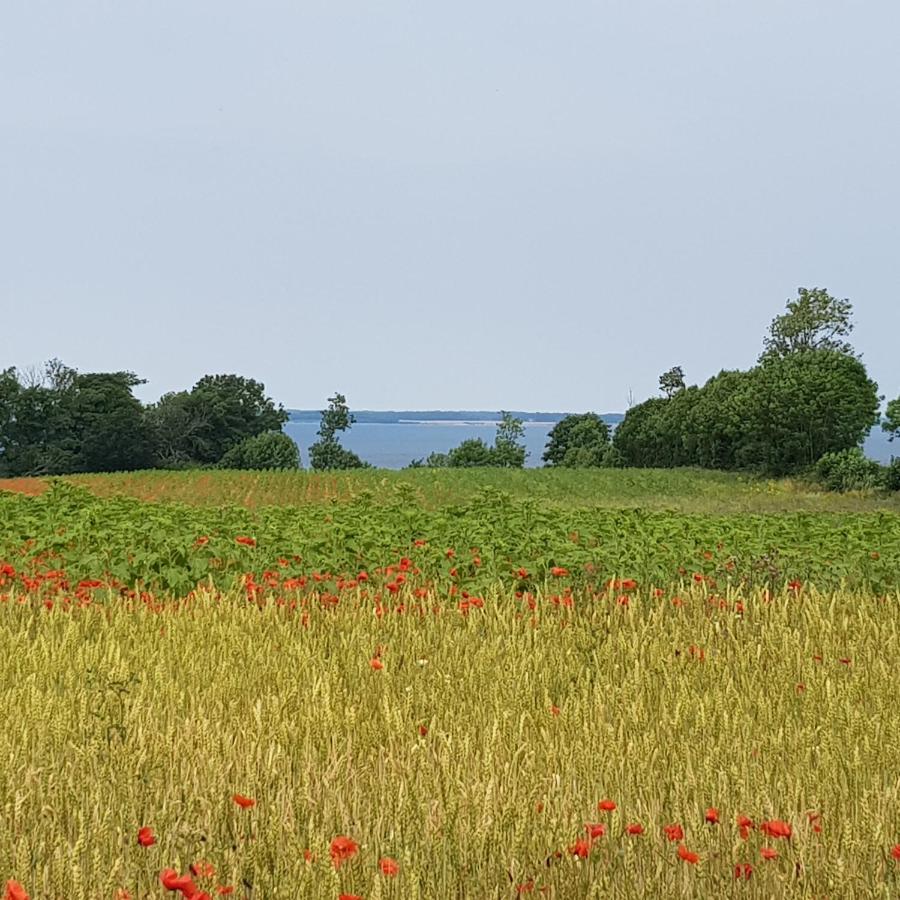 Strand & Garten Surendorf Zewnętrze zdjęcie